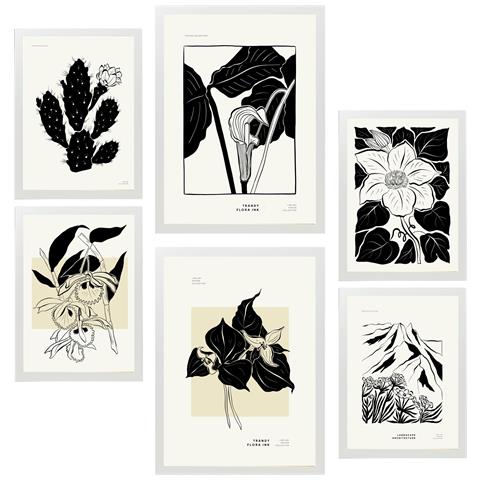 Set Di 6 Stampe Fiori In Bianco E Nero 2 Incorniciati Con Illustrazioni Di Design Per Decorare Le Pareti Della Tua Casa. Negozio Di Pittura. A3 & A4 Cornice Bianca - Foto 1