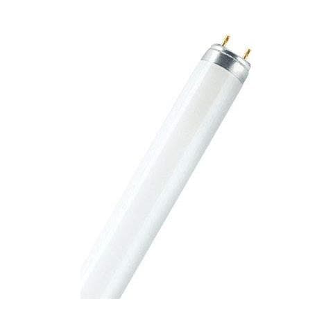L 15 W / 827 15W G13 B Bianco caldo lampada fluorescente - Foto 1