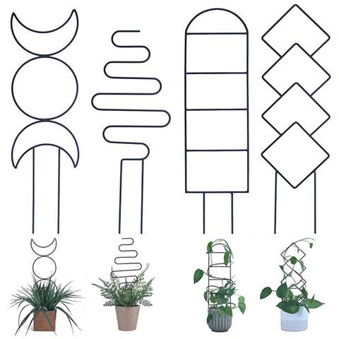 Set Di 4 Pali Di Supporto Per Piante Rampicanti - Foto 2