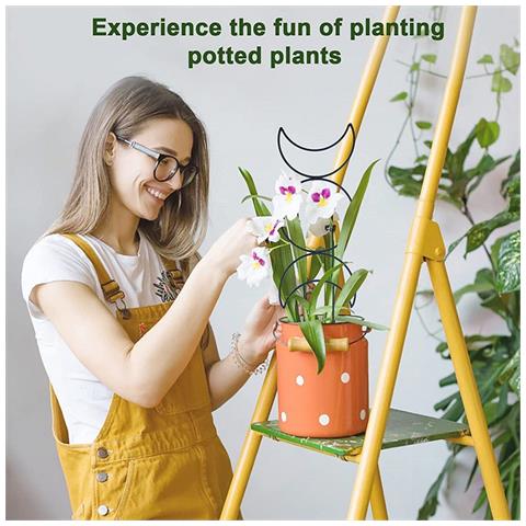 Set Di 4 Pali Di Supporto Per Piante Rampicanti - Foto 4