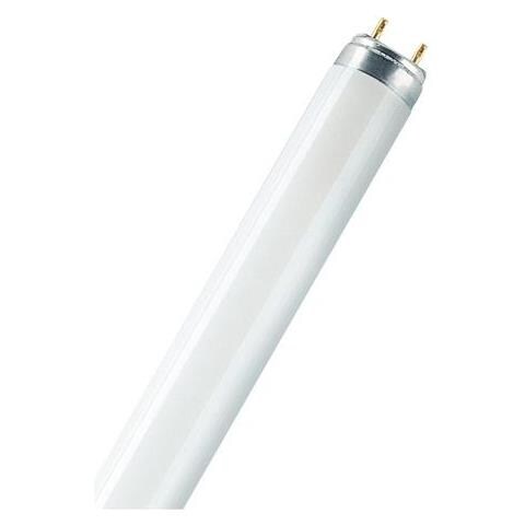 Ledvance Ledavance L58830 - Lampada Fluorescente T8 Lumilux - Foto 6