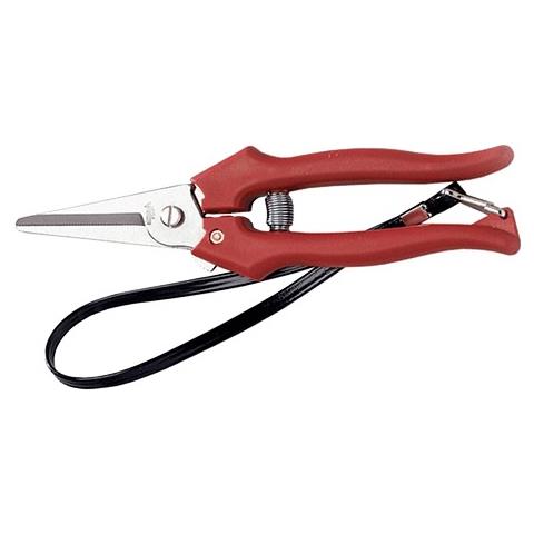 Forbici Cogliuva 'extra' - Art. 31326 - Cm 19 - Foto 1