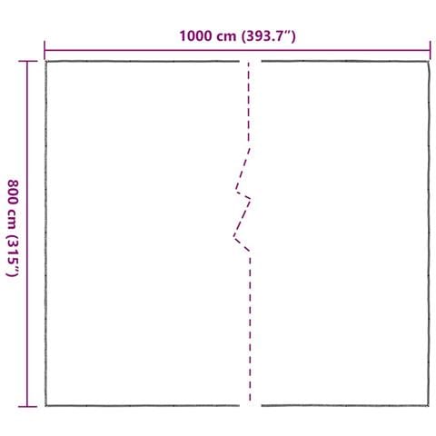 Telone Trasparente con Occhielli 8x10 m in Polietilene - Foto 10