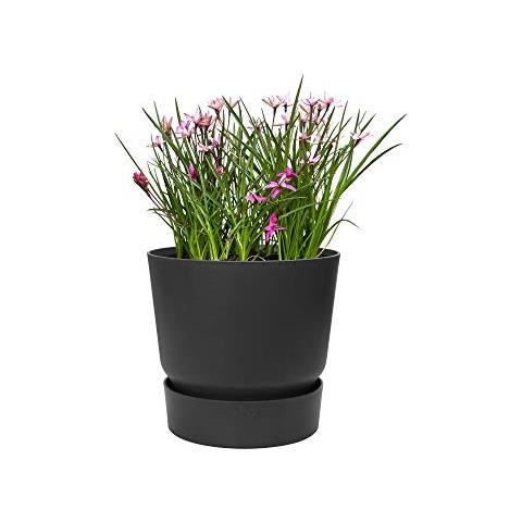 Greenville Pflanztopf Ø 25 Cm Vaso Per Piante Nero - Foto 1