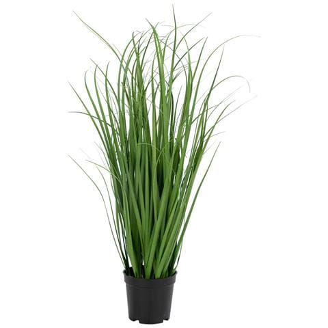 Erba Poa Artificiale Verde H 68 Cm - Foto 1