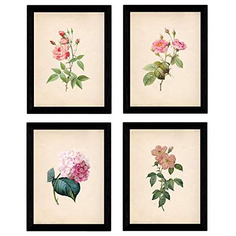 Set Di 4 Stampe Sfondo Stampe Con Colori Neutri Rapprsentazione Floreale Di Fiori Raffigurazioni Della Natura Botanico Piante Senza Cornice A4 - Foto 1