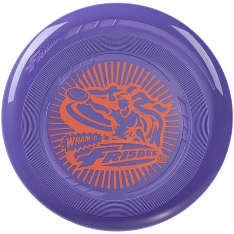 Frisbee Go Disco Volante, 22,86 cm Leggero per Bambini dai 5 Anni in su - 70 g - Foto 7