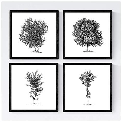 Set Di 4 Stampe Fogli Di Alberi. Tronchi D'albero Modificate , Poster Sfondo Della Carta 250g E Gli Inchiostri Di Alta Qualità. Senza Cornice 20x20 Cm - Foto 1