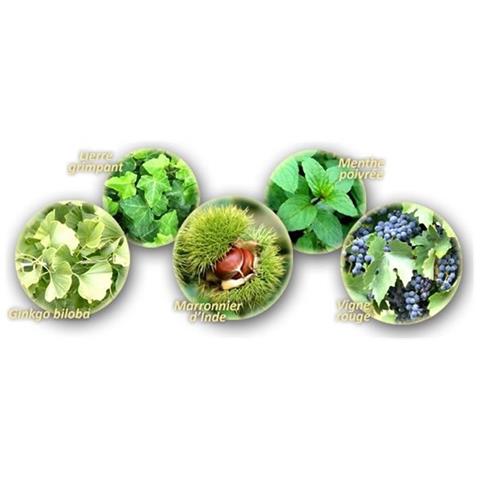 Veinessence Balsamo Veinotonico - Foto 5