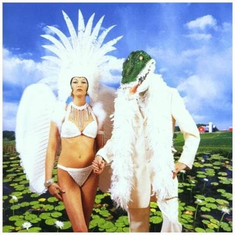 Paul Gilbert - Alligator Form - Foto 1