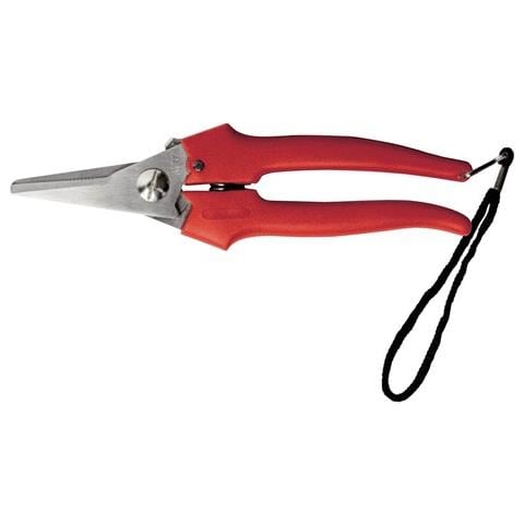 Forbici Cogliuva 'eco' - Art. 31327 - Cm 19 - Foto 1