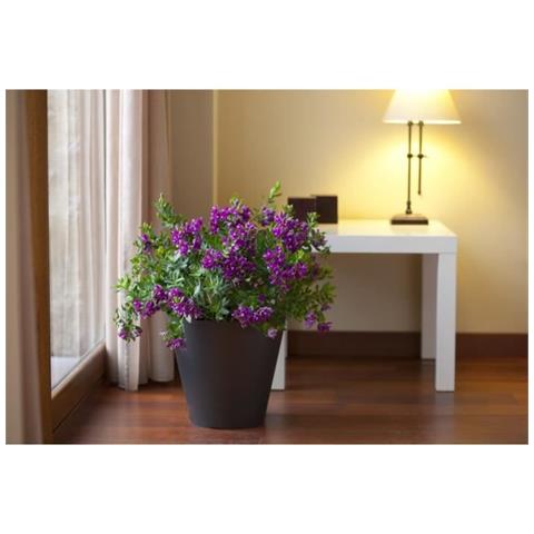 Vaso Per Fiori Tes Cono - 22 Cm - Antracite - Foto 1