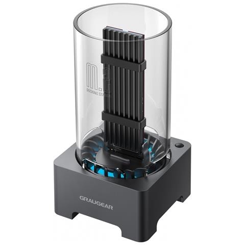 G-M2DK-AC-10G docking station per unità di archiviazione USB 3.2 Gen 2 (3.1 Gen 2) Type-C Nero - Foto 1