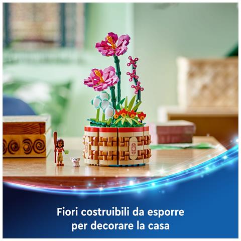 Vaso di fiori di Vaiana - Foto 28