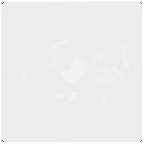 Telone Trasparente con Occhielli 2x2 m in PVC - Foto 1