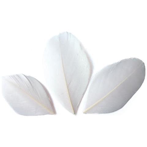 50 Piume - Bianco - Foto 1