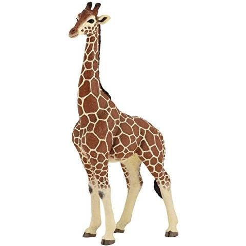 Giraffa Figura Maschile - Foto 1