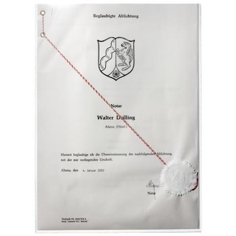 213119 210 x 297 mm (A4) Polipropilene (PP) 1pezzo (i) foglio di protezione - Foto 3