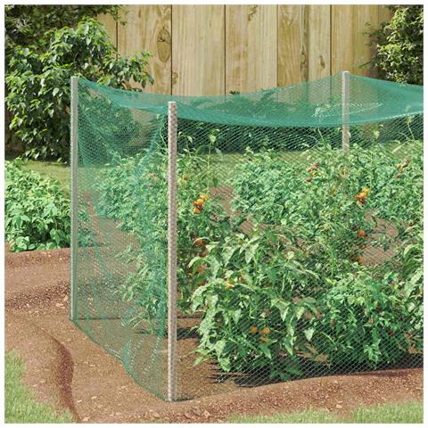 Reticolo di Protezione per Uccelli Verde 2 x 25 m HDPE - Foto 2