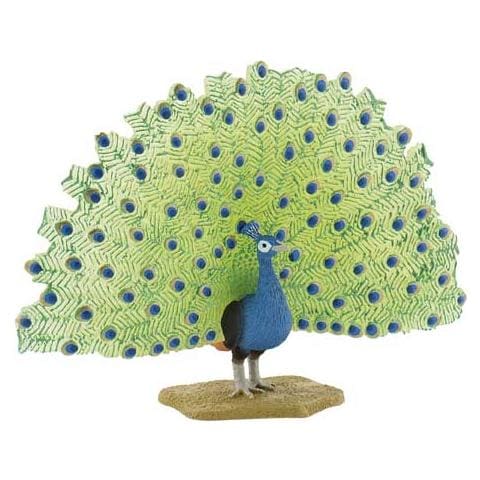 Animali Uccelli Peacock 69390 - Foto 1