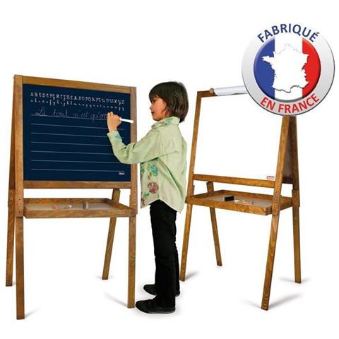 Big Picture Disegno Ecoli - Foto 1