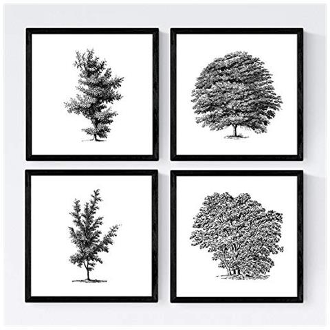 Set Di 4 Stampe Fogli Di Alberi. Alberi Variati Di , Carta Bianca Di Poster Di Sfondo 250 Gr E Inchiostri Di Alta Qualità Senza Cornice 20x20 Cm - Foto 1