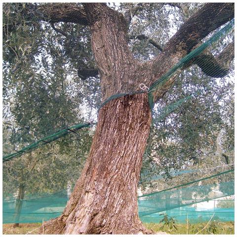 Rete Per Olive Rinforzata E Occhiellata Tessuto Antispina Telo Con Apertura Verde 85 Gr /mq - 10x10 Mt - Foto 1