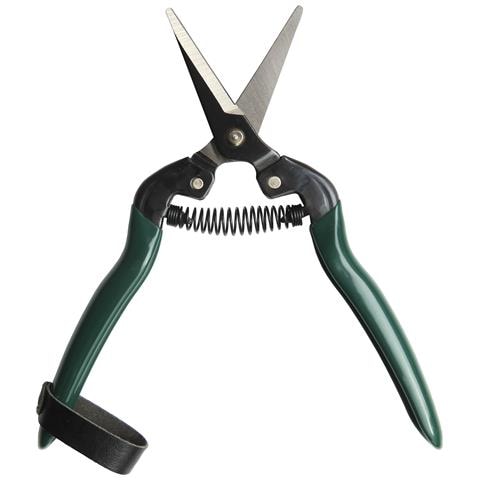 Forbice Per Vendemmia 185mm Confezione Da 6 Pezzi - Foto 1