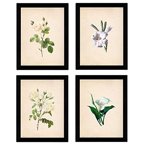 Set Di 4 Stampe Da Incorniciare In Stile Botanico. Set Soft White 250 G E Inchiostri Di Alta Qualità. 4 Sfondi Diversi Senza Cornice A4 - Foto 1