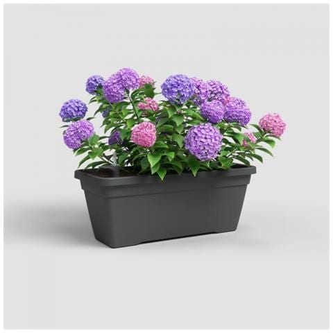 Fioriera - Plastica - Antracite - Rettangolare - L57,9 X P24,3 X H22cm - - Foto 2
