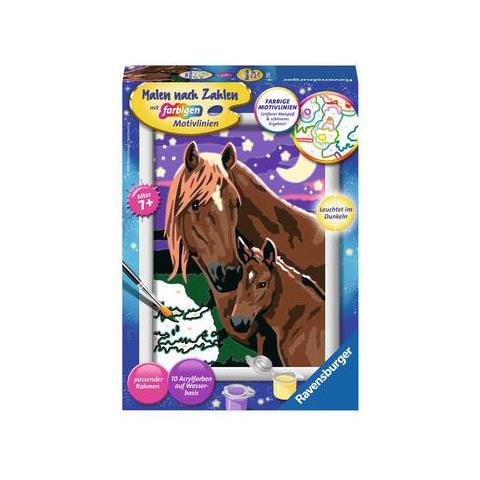 27844 Colore per kit di verniciatura in base ai numeri pagina e libro da colorare - Foto 1