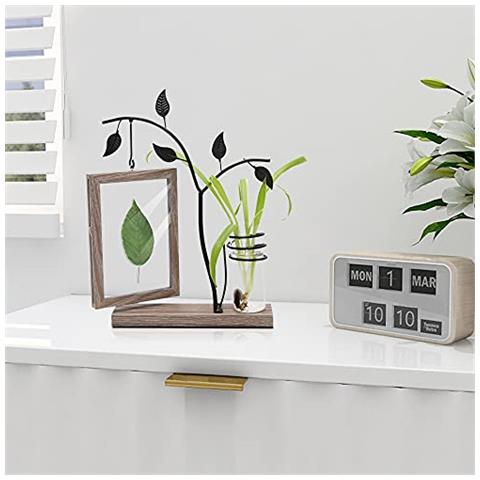 Affuly Cornice Per Foto 4x6 Cornici Rustiche Per Famiglie Con Vaso In Vetro Per Fiori Di Piante, Cornice Galleggiante Con Doppio Vetro Per Foto 4 Per 6 Espositore Da Tavolo Anniversario Matrimonio Regali Di Compleanno - Foto 2