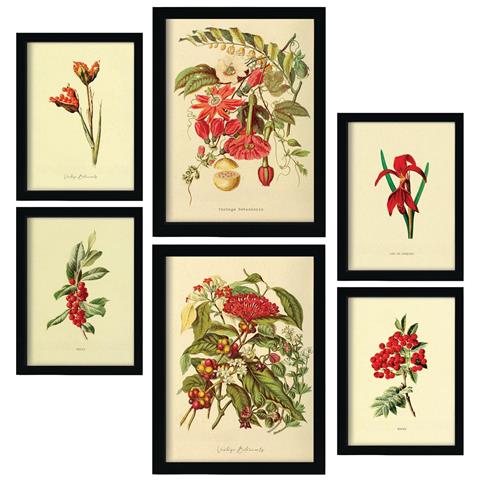 Set Di 6 Stampe Fiori Rossi In Stampe Vintage, Dipinti Decorativi Estetici Per Il Tuo Soggiorno, Camera Da Letto, Casa A3 & A4 Senza Cornice - Foto 1