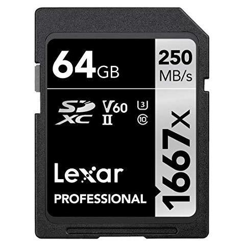 Professional 1667x 64gb Sdxc Uhs-ii Scheda - Foto 1