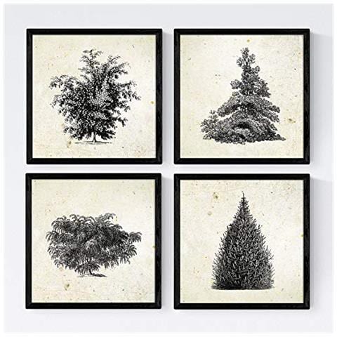 Set Di 4 Stampe Fogli Di Alberi Alberi E Arbusti Di Vintage Vecchio Sfondo Di Carta Poster Carta E Inchiostri Di Alta Qualità Senza Cornice 30x30 Cm - Foto 1
