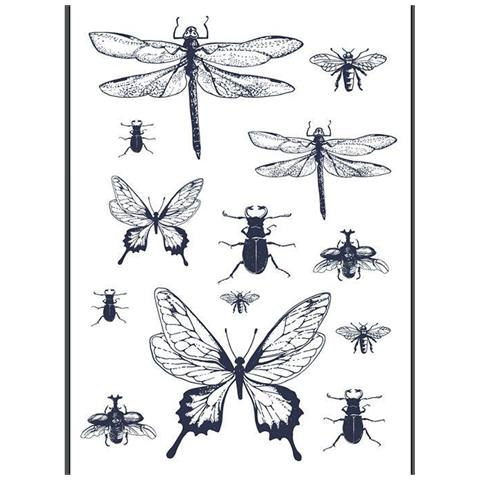 Trasferimento A Caldo Nero & Bianco - Insetti - Foto 1