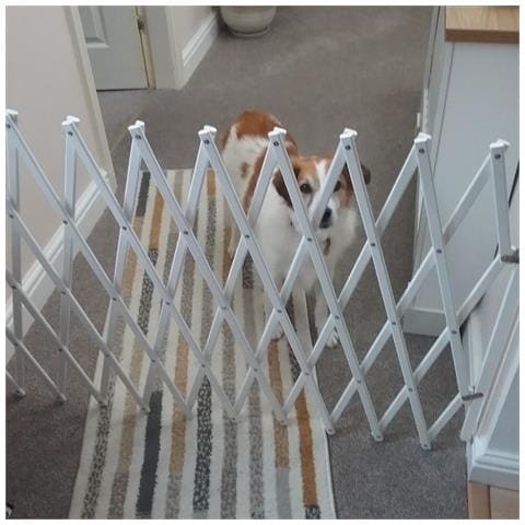Bettacare Cancelletto Per Animali Domestici Espandibile Xl, 60cm - 230cm, Bianca, In Legno - Foto 4