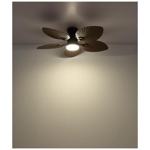 03672B ventilatore - Foto 2