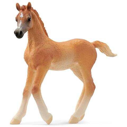 Horse Club 13984 Action Figure Giocattolo (Horse Club Arab Foal Toy Figure, 5 To 12 Years, Brown [1398 - Foto 1