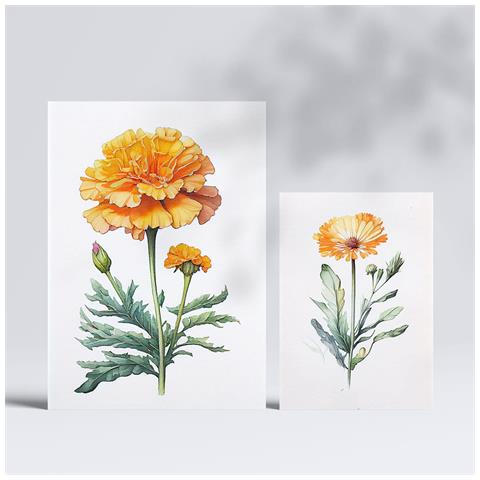 Set Di 6 Stampe Fiori Arancioni Stampe Naturalistiche E Botaniche A Colori Con Motivi Floreali Su Sfondi Bianchi Puri A3 & A4 Senza Cornice - Foto 2
