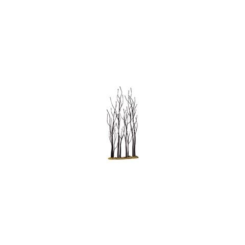 Alberelli Di Sicomoro - Stand Of Sycamore - Foto 3