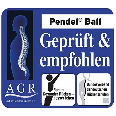 420450 - Palla Da Fitness Actisan - Foto 3