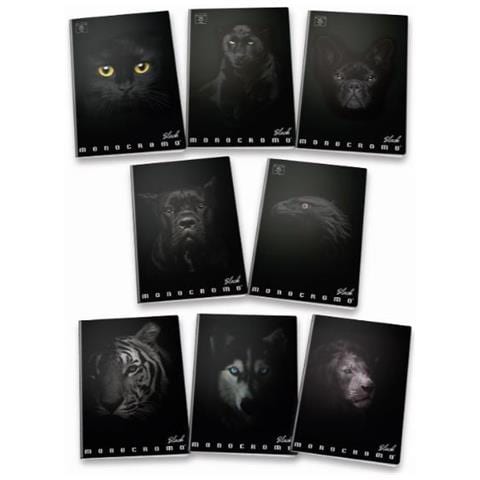 Maxi Quaderno Pigna Monocromo Black 02303374m - Rigatura 4m - Confezione 10 Quaderni Ass. - Foto 2