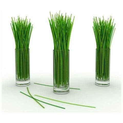 Olio Da Massaggio Con Oli Essenziali - Citronella - Foto 2