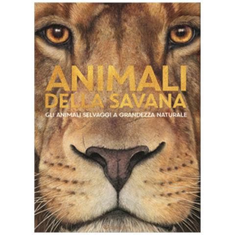 Holger Haag - Animali Della Savana. Gli Animali Selvaggi A Grandezza Naturale. Ediz. Illustrata - Foto 1