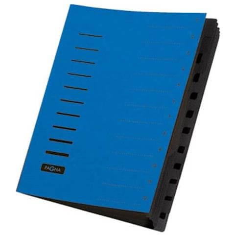 Cartellina Con Divisori Blu Din A4 Cartone Truciolato Numero Scomparti: 12 - Foto 1