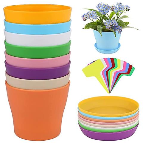 Set 6 Vassoi Betzold TreeNside - Materiale Bioplastica, Colorati, Per Scuola O Ufficio - Foto 10