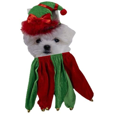 Cappello Per Animali Con Corpo Natalizio. - Foto 1