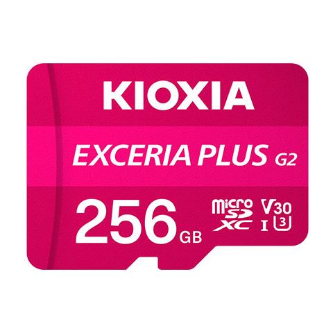 LMPL2M256GG2 memoria flash 256 GB MicroSDXC UHS-I Classe 10 - Foto 1