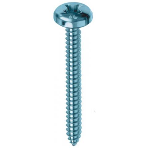 Vite Autofilettante Zincatura Bianca Tc 4,2x22 E-100 Bulloneria-viteria - Foto 1